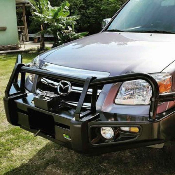 Deluxe Commercial Bullbar - Image 5