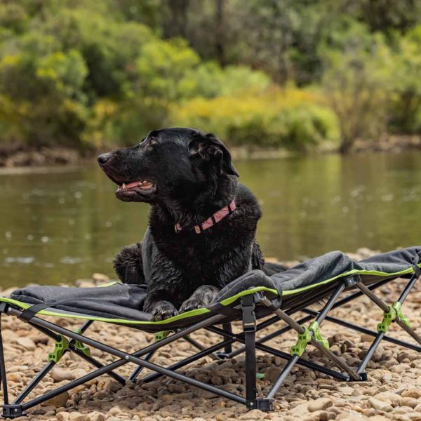 Quick Fold Dog Bed with Padded Mat (133 x 68 x 30cm)